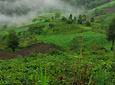 Naban Nature Reserve Bergland